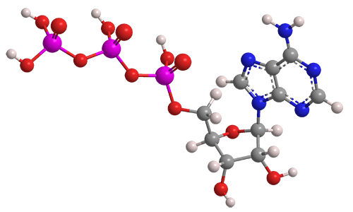 adenosine triphosphate 3D formula