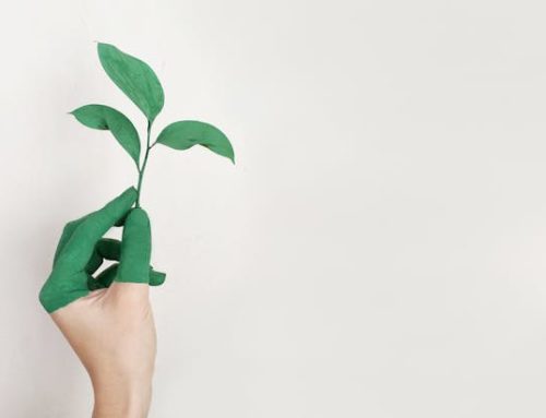 Why You Should Switch to Eco-Friendly Laundry Products Today