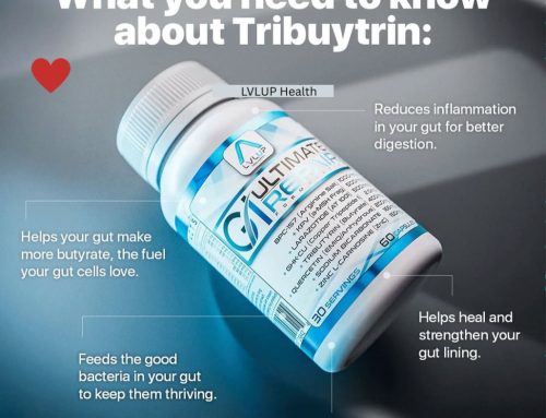 The Missing Link in Your Health Journey? It’s Probably Your Gut.