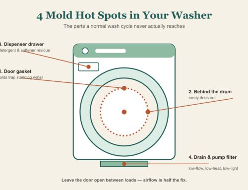 Why Your Washing Machine Could Be Spreading Mold — And How to Actually Stop It