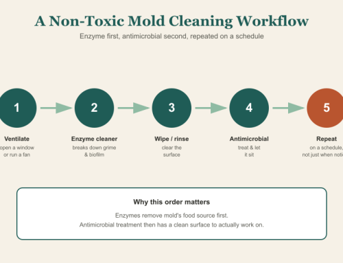 Natural Mold Cleaning: What Actually Works